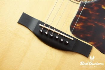 HF-501 Built by Yasuo Momose 